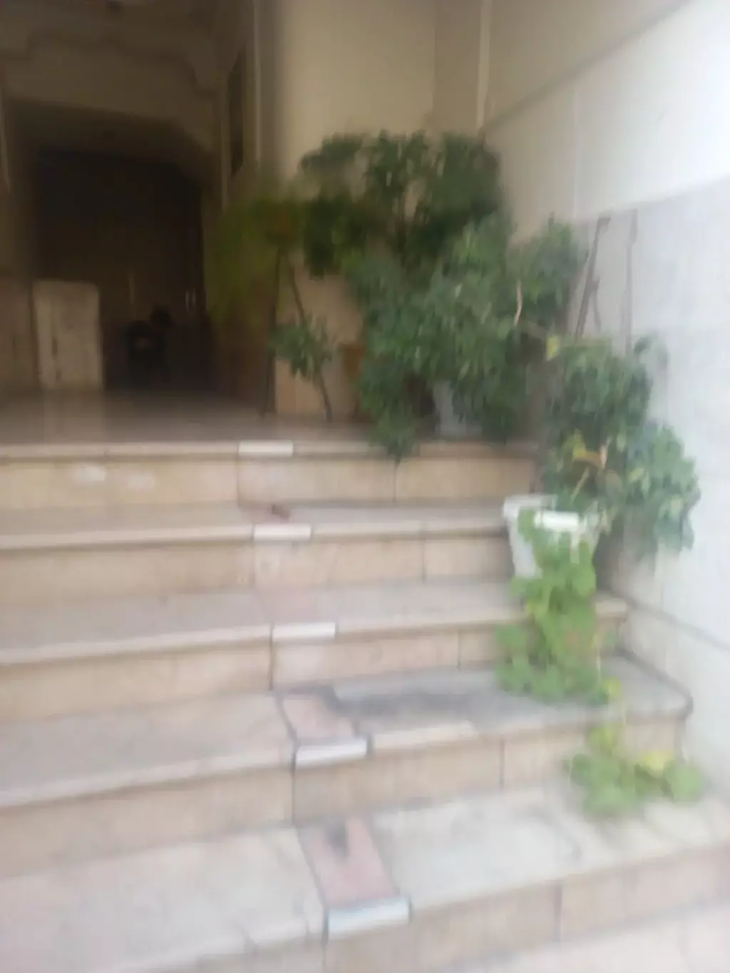 اجاره آپارتمان 50 متری در نبی اکرم