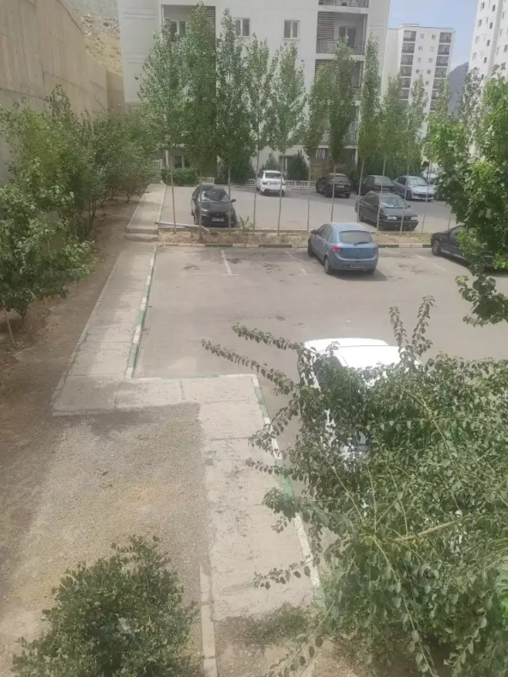 اجاره خانه و ویلا 80 متری در مسعودیه