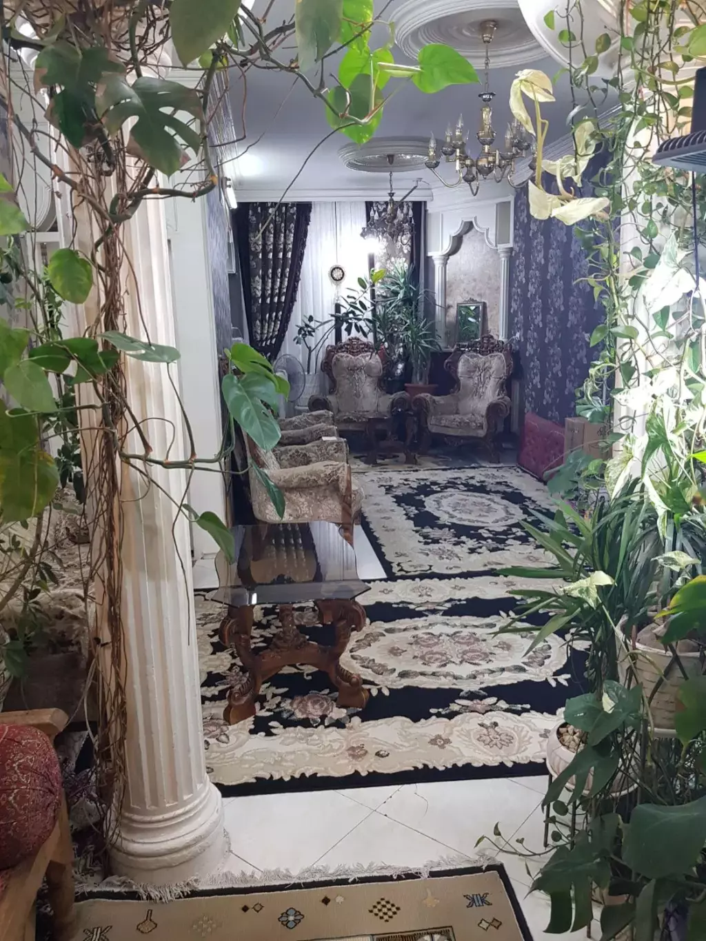 اجاره آپارتمان 78 متری در تولید دارو
