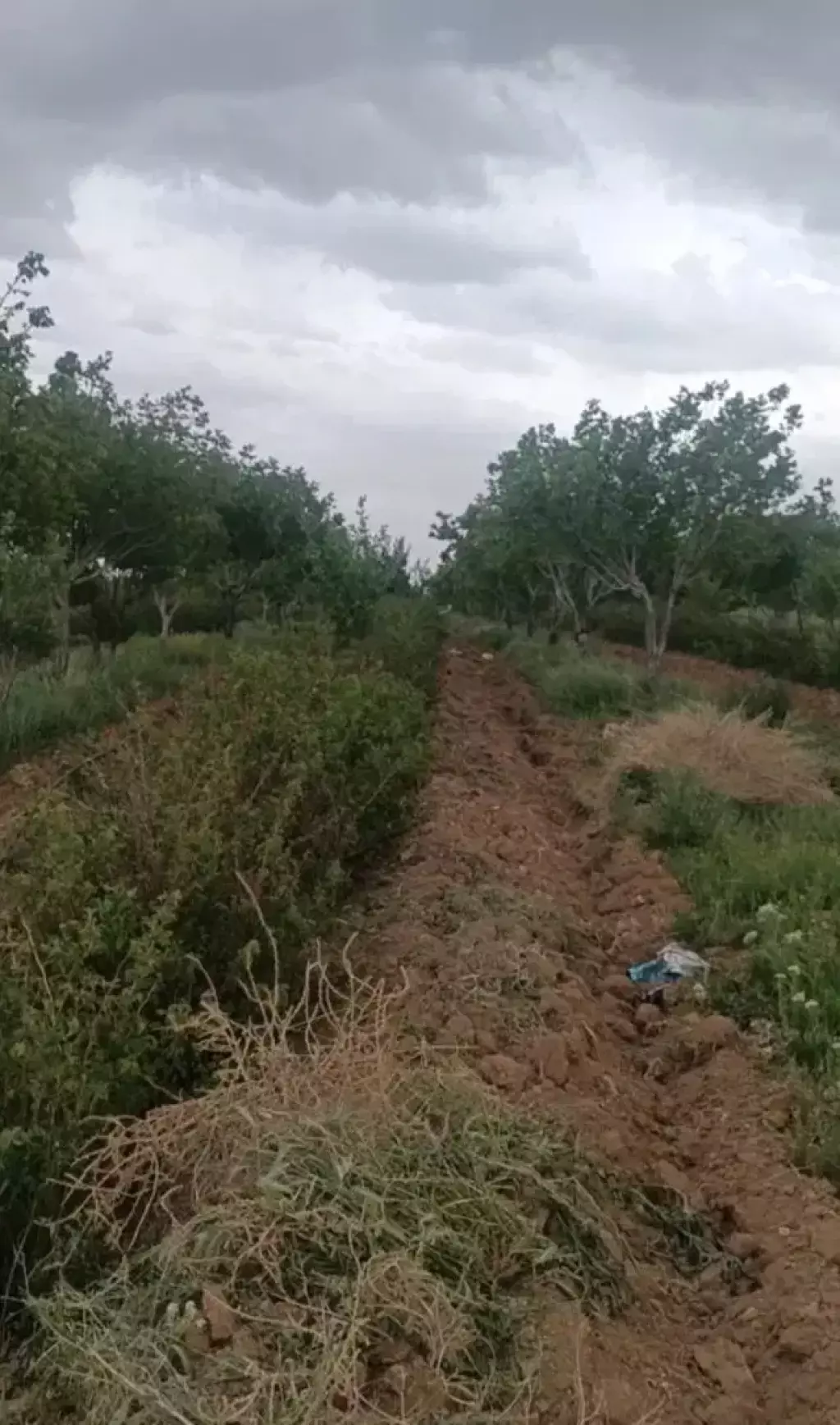 فروش اداری و تجاری 60000 متری در جمهوری