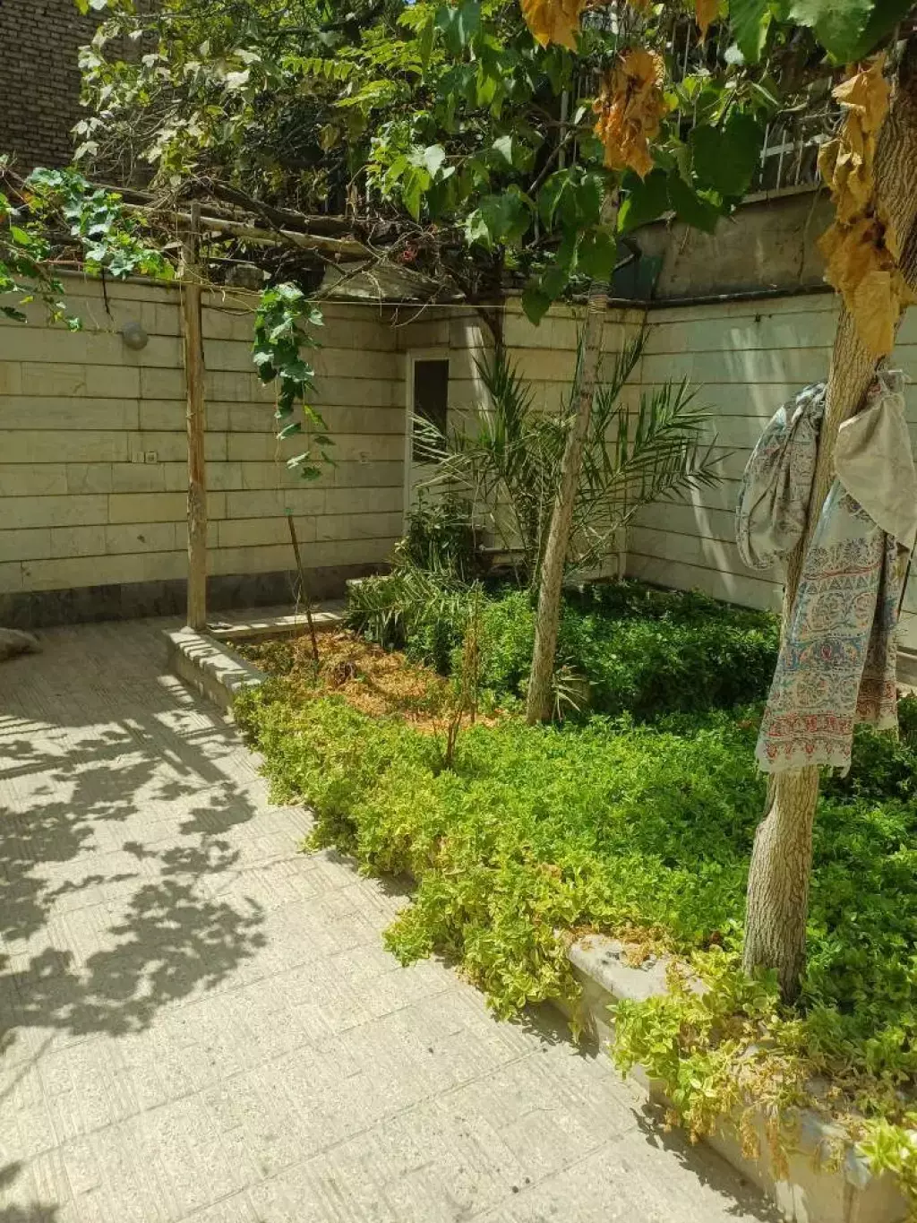 اجاره آپارتمان 48 متری در دهقان - تصویر 3