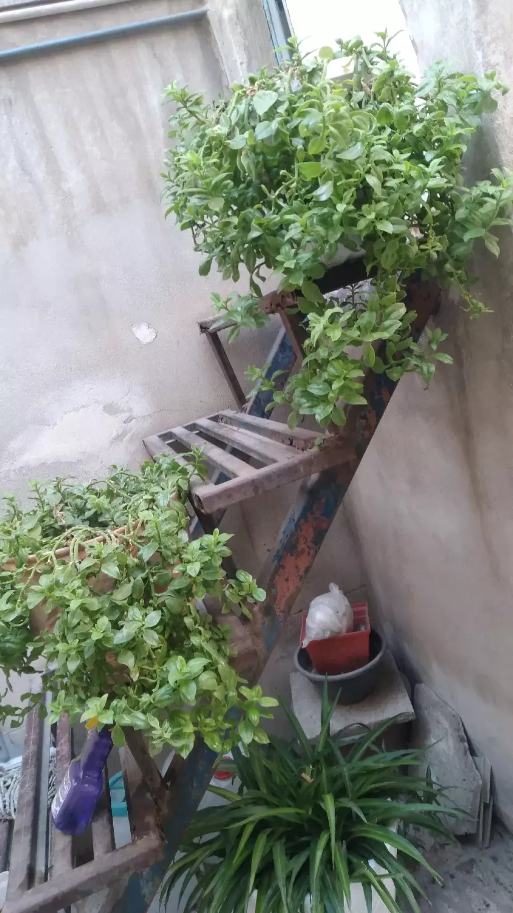 فروش خانه و ویلا 126 متری در هفده شهریور - تصویر 2