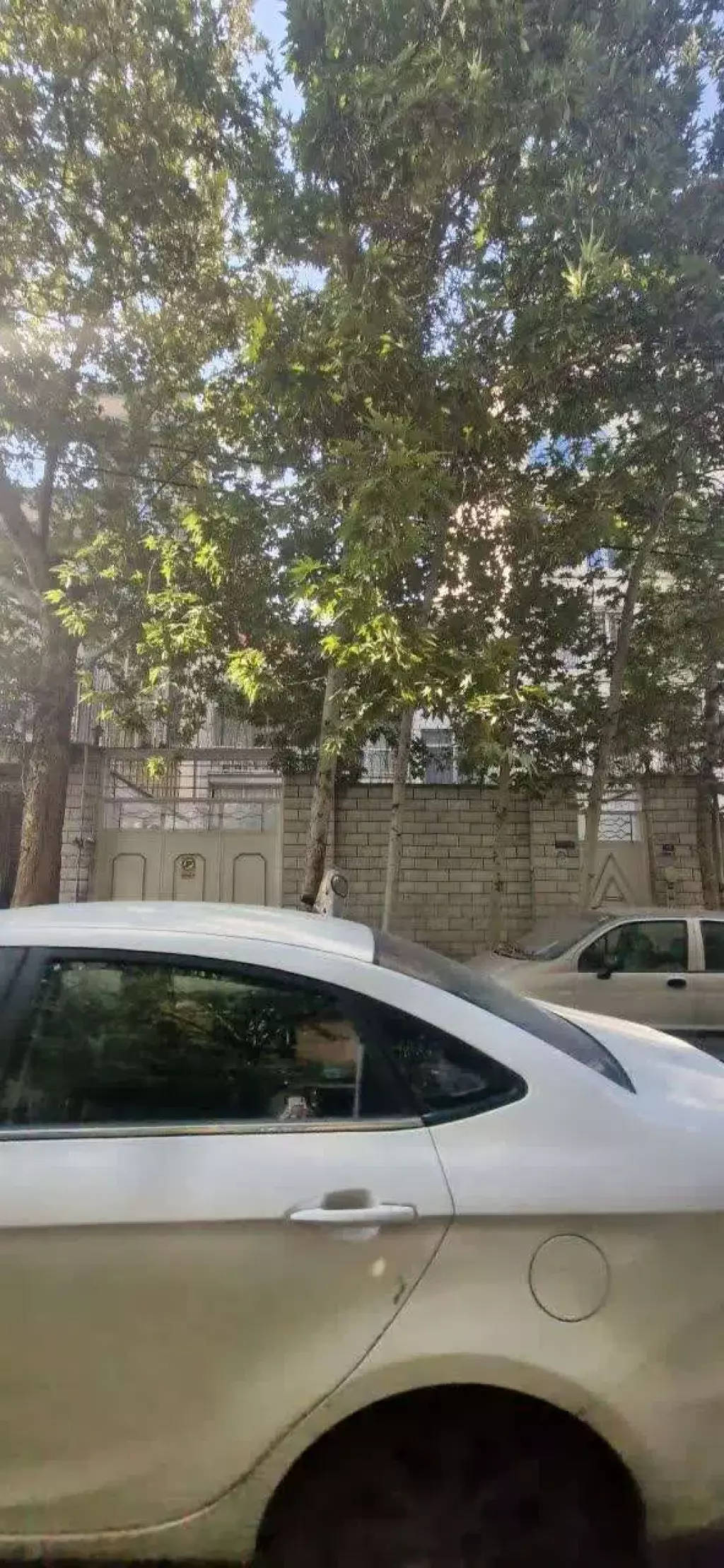 فروش زمین و کلنگی 223 متری در دریا - تصویر 2