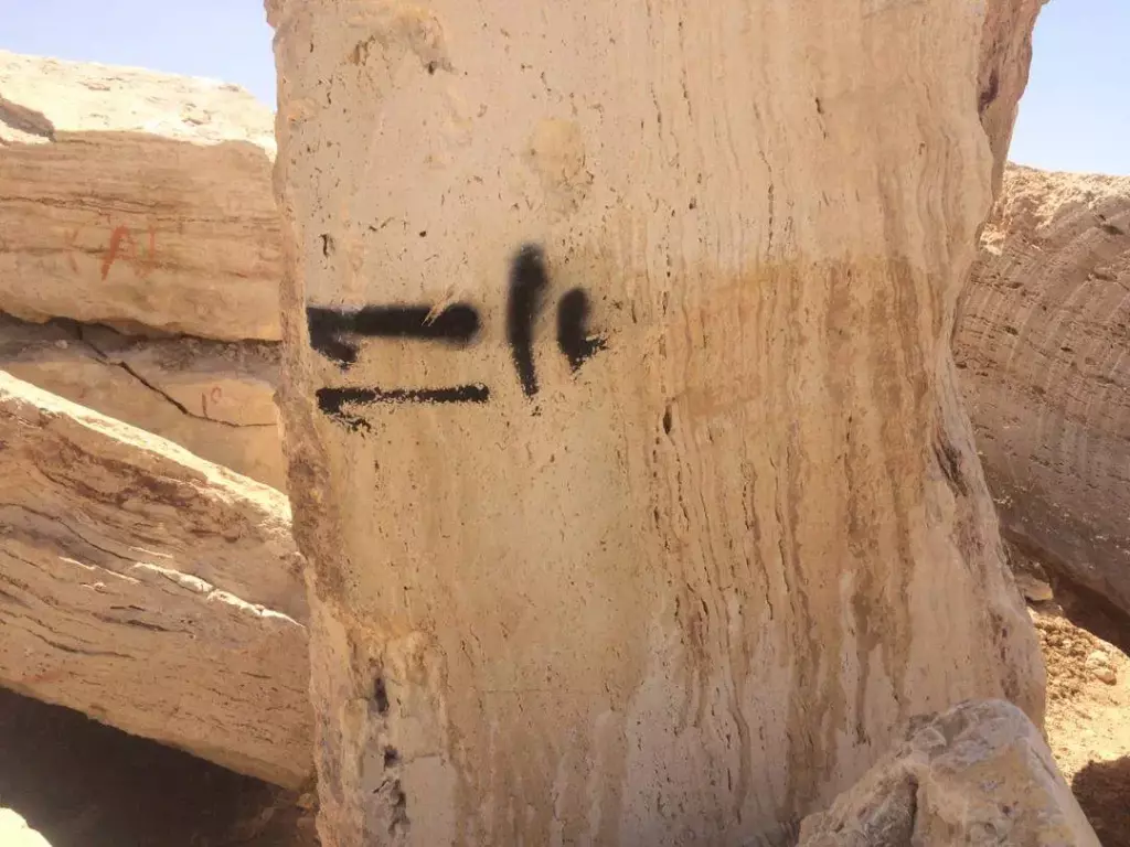 فروش اداری و تجاری 5000 متری در جردن - تصویر 3