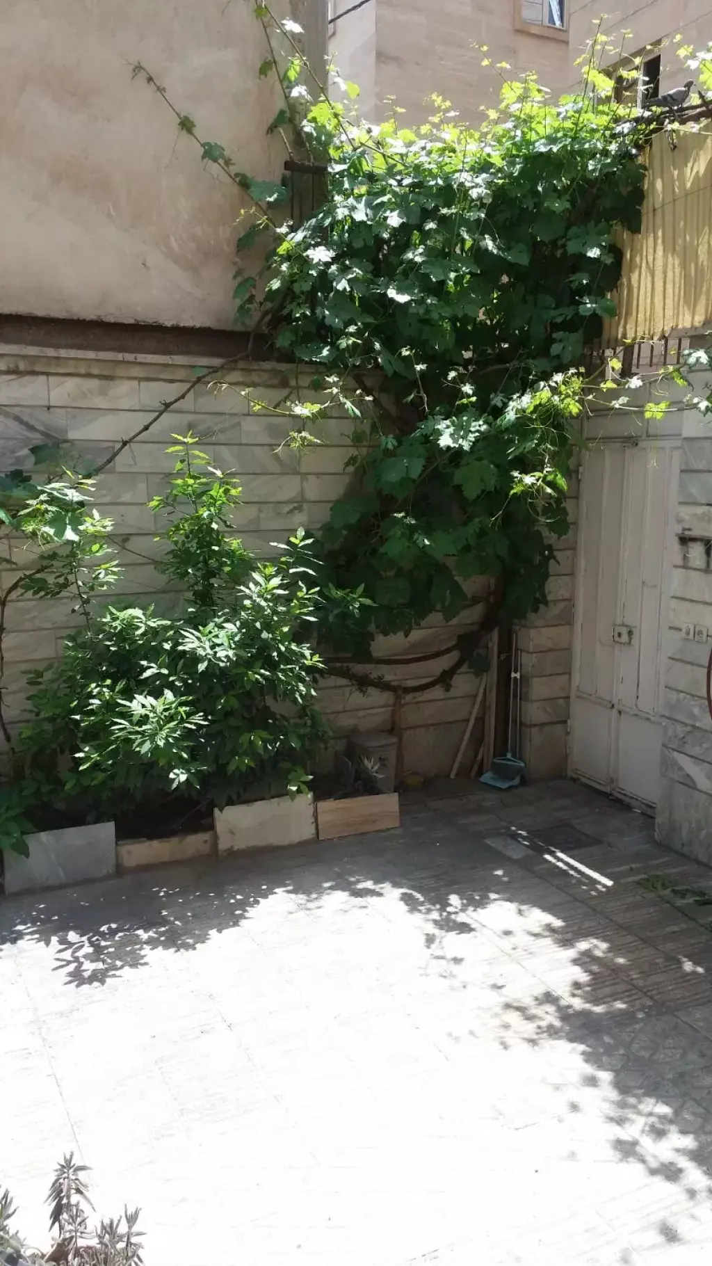 اجاره آپارتمان 70 متری در سلسبیل جنوبی - تصویر 6