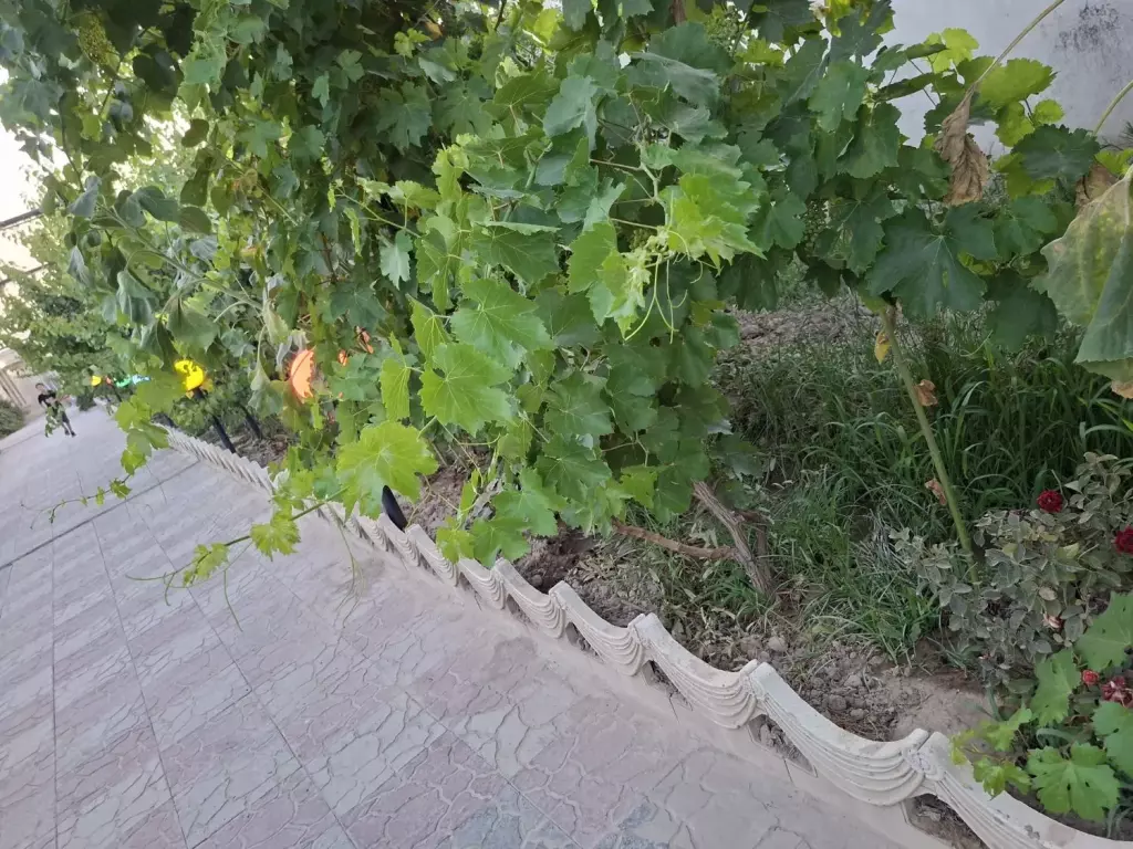 فروش خانه و ویلا 800 متری در شهرآرا - تصویر 15