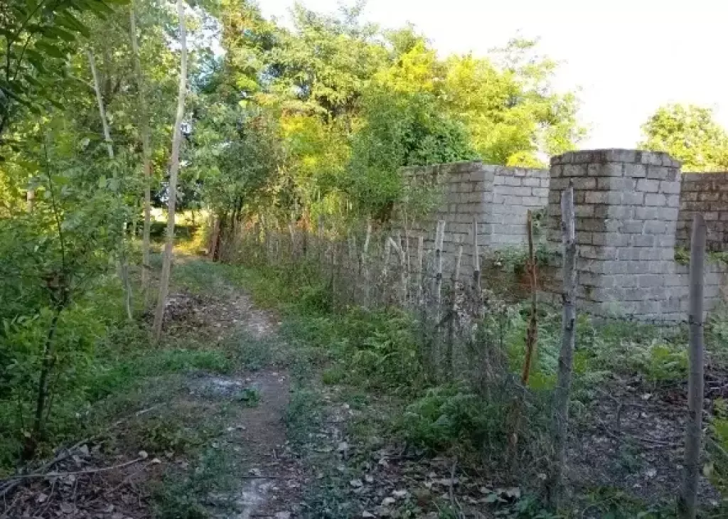 فروش زمین و کلنگی 1371 متری در آذربایجان - تصویر 2