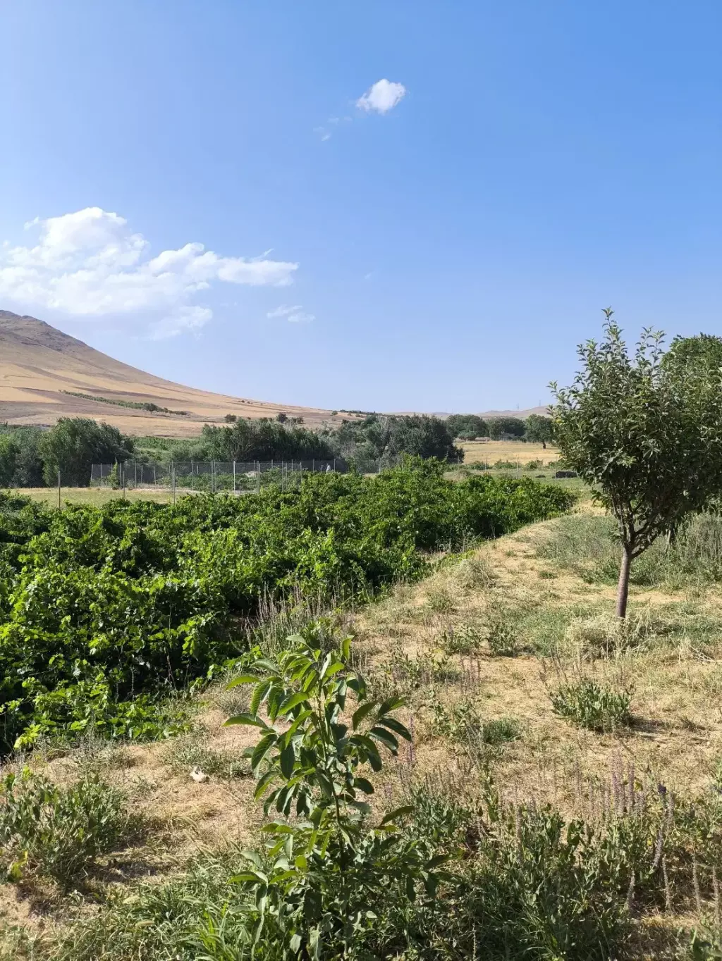 فروش اداری و تجاری 5000 متری در مهرآباد جنوبی - تصویر 11