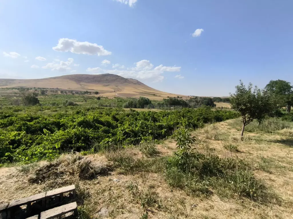 فروش اداری و تجاری 5000 متری در مهرآباد جنوبی - تصویر 8