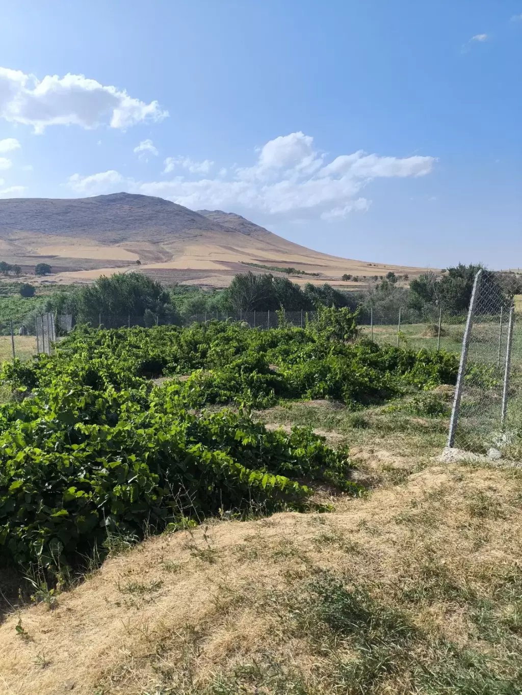 فروش اداری و تجاری 5000 متری در مهرآباد جنوبی - تصویر 12
