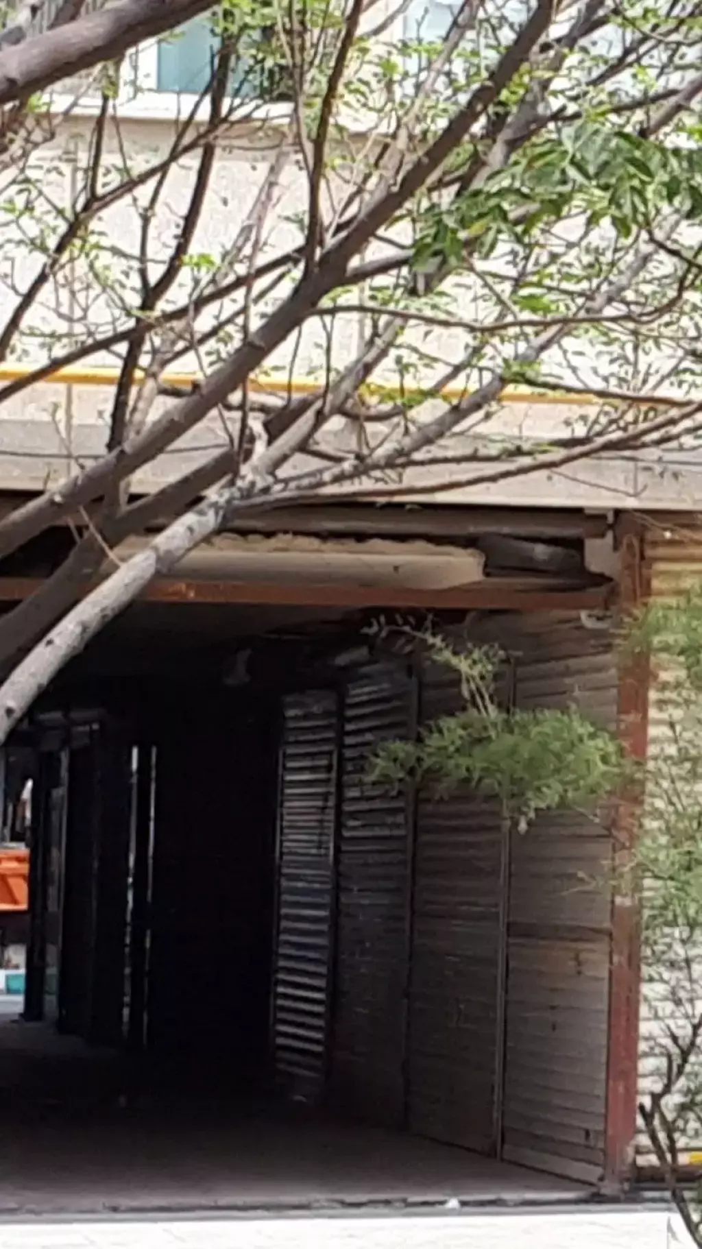 اجاره اداری و تجاری 20 متری در نعمت‌آباد - تصویر 11