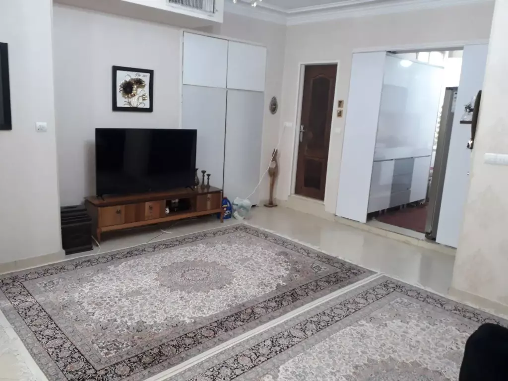 فروش آپارتمان 55 متری در شهرک ولیعصر جنوبی - تصویر 5