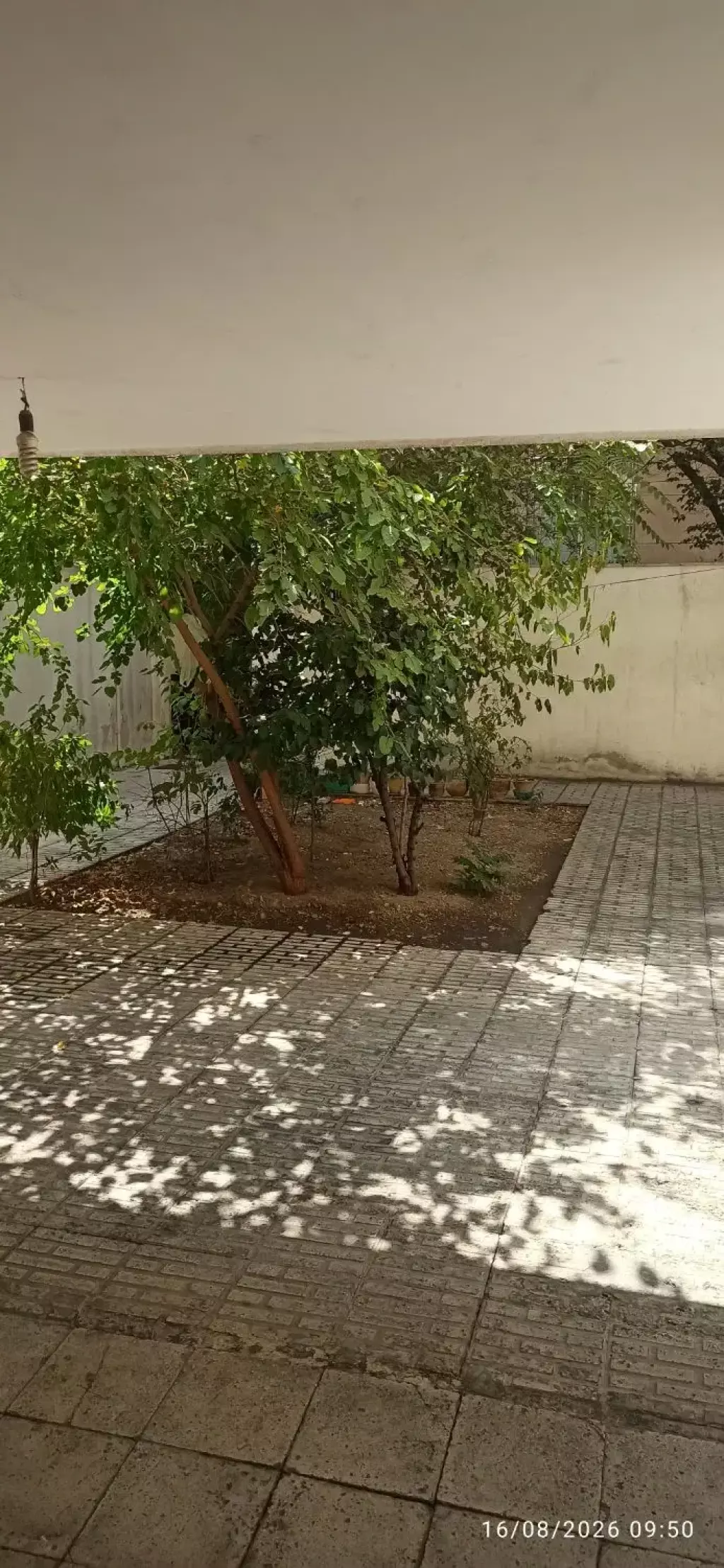 اجاره خانه و ویلا 135 متری در جنت‌آباد شمالی - تصویر 2
