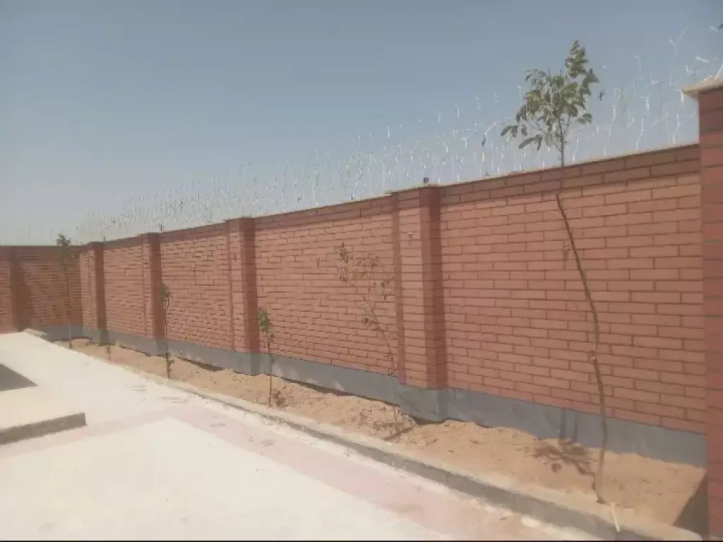 فروش خانه و ویلا 298 متری در فلاح - تصویر 7