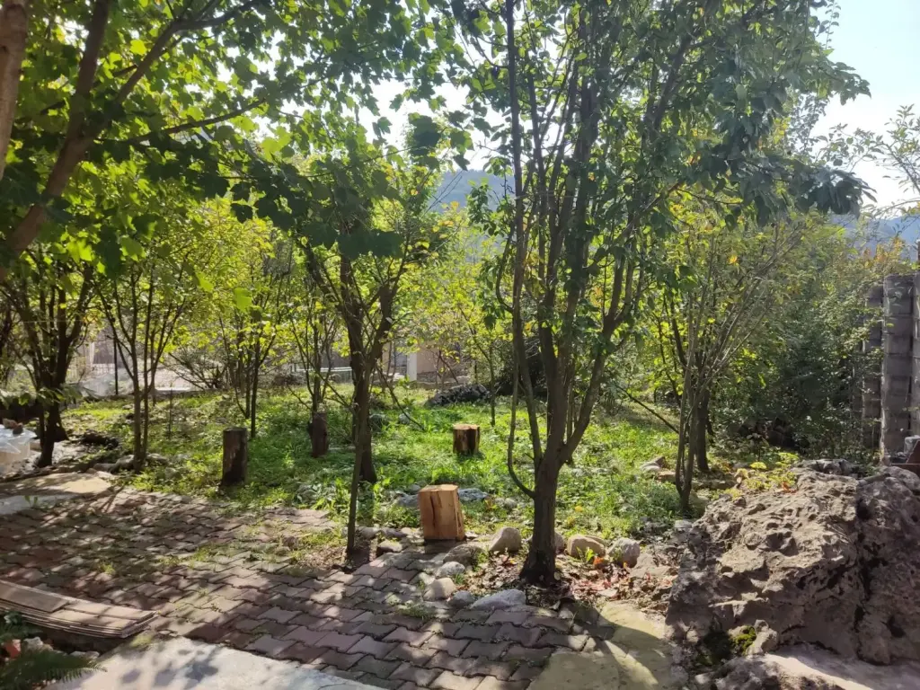 فروش خانه و ویلا 500 متری در پارک شهر - تصویر 12