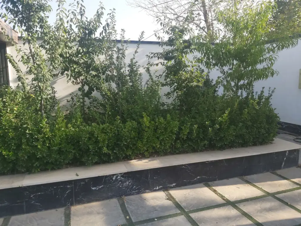 اجاره اداری و تجاری 35 متری در صاحب الزمان