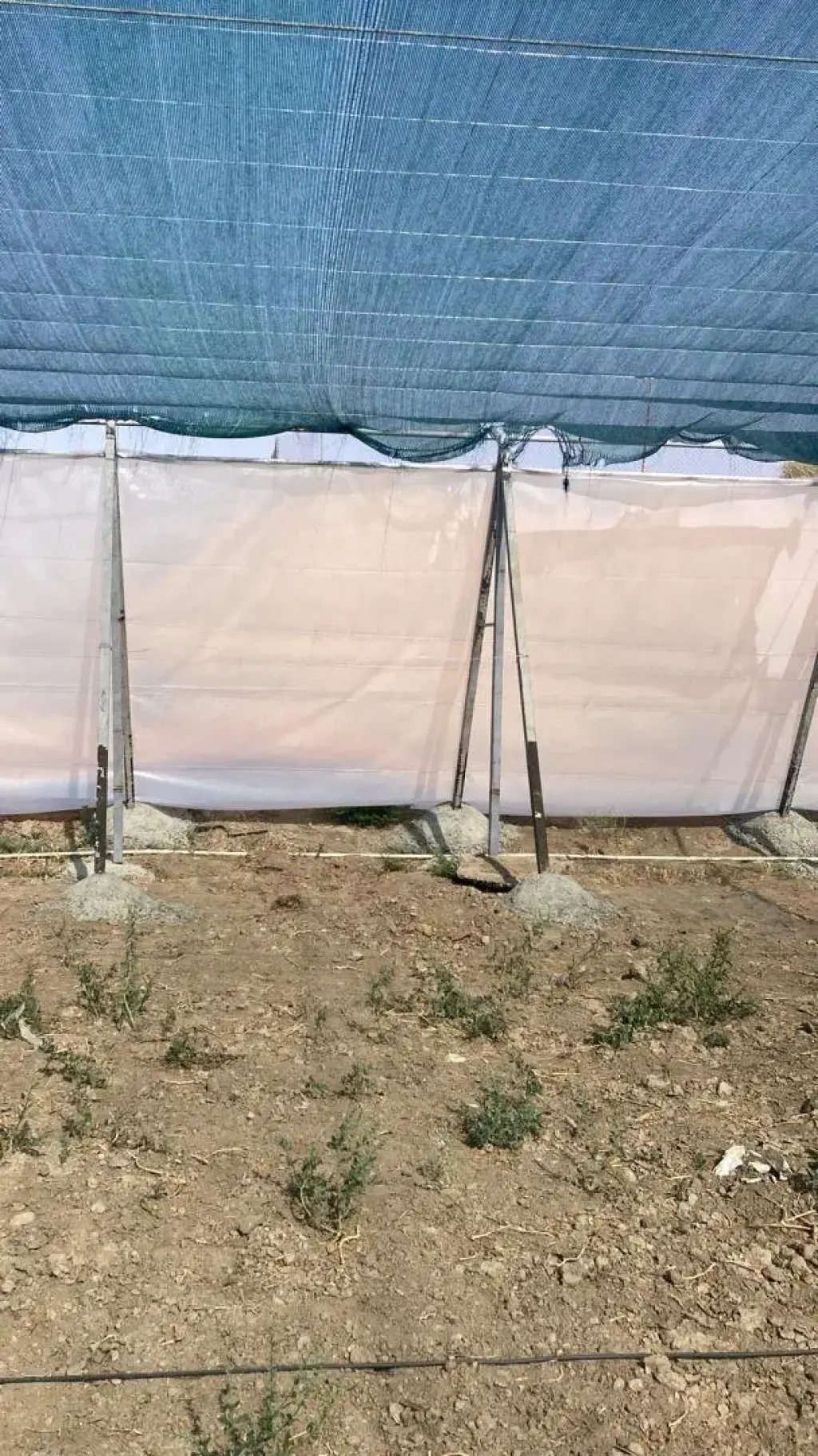 فروش اداری و تجاری 13000 متری در علایین - تصویر 2
