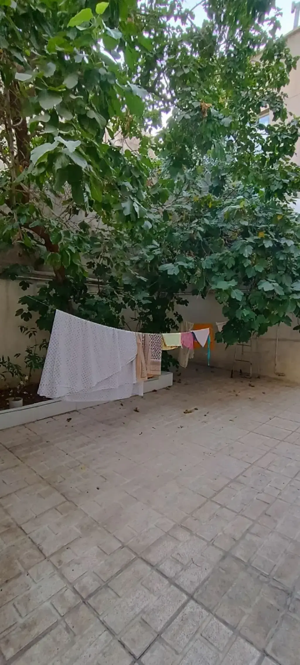 اجاره خانه و ویلا 110 متری در دهم فروردین - تصویر 6