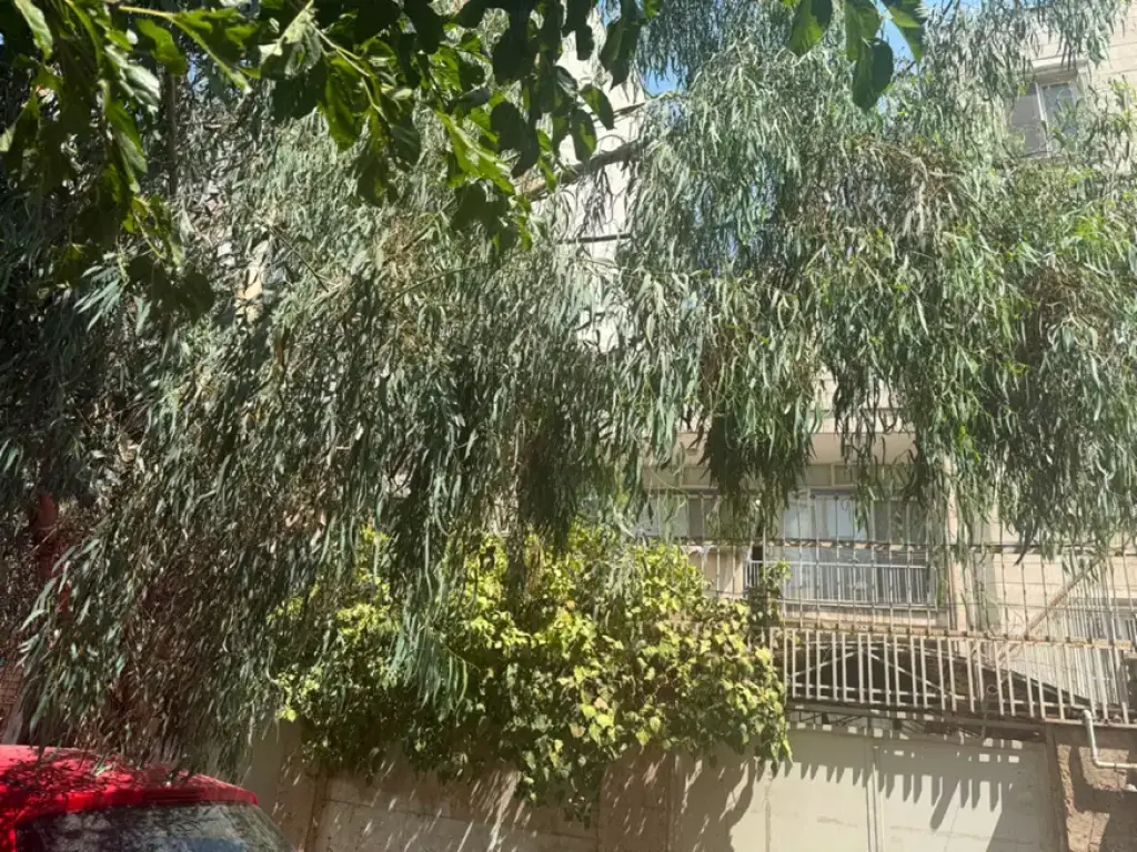فروش زمین و کلنگی 185 متری در یوسف‌آباد - تصویر 2