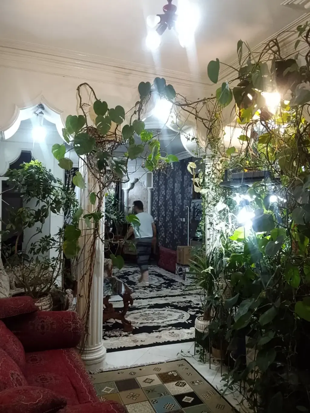 اجاره آپارتمان 78 متری در تولید دارو - تصویر 18