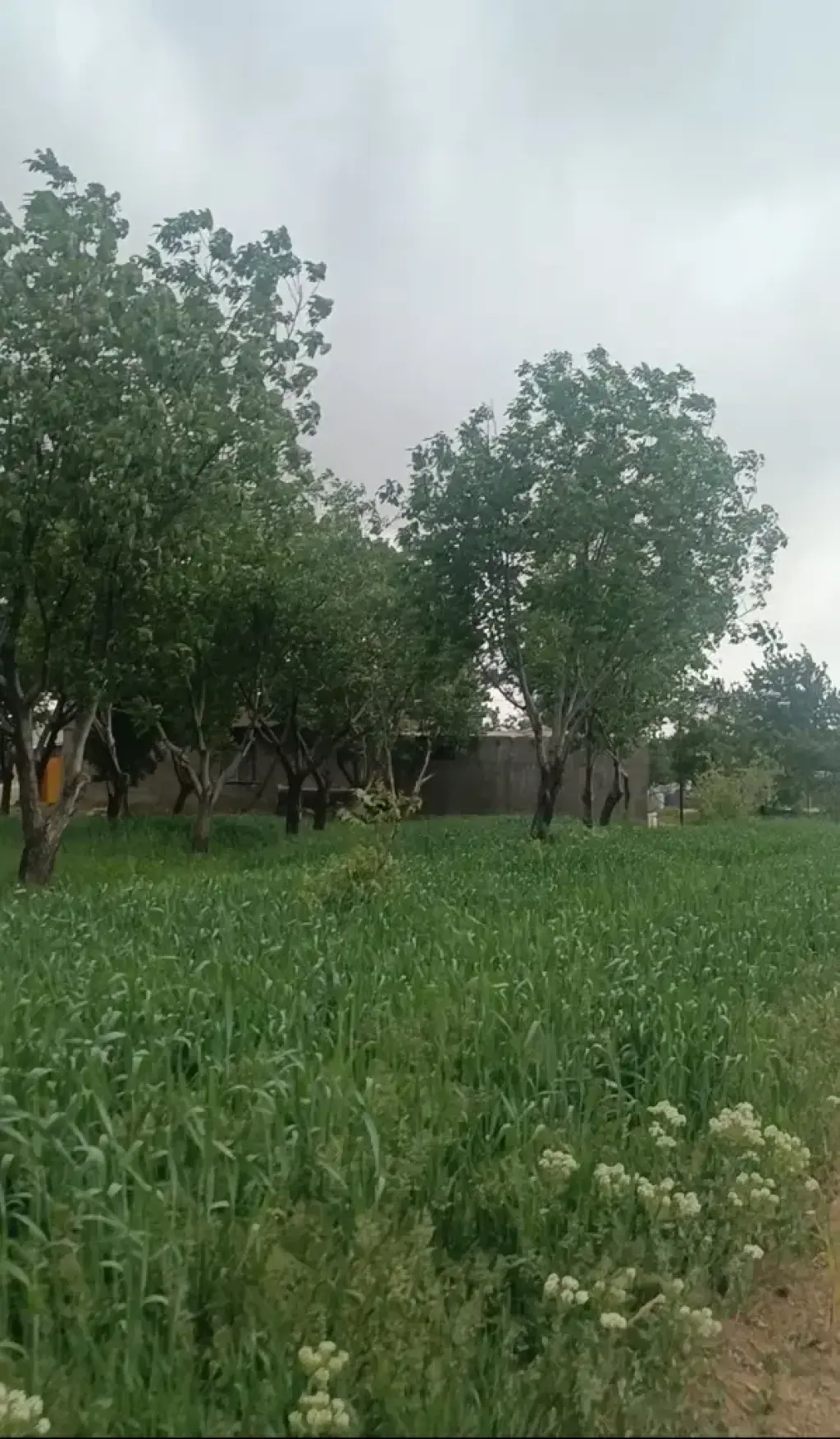 فروش اداری و تجاری 400000 متری در شهرآرا