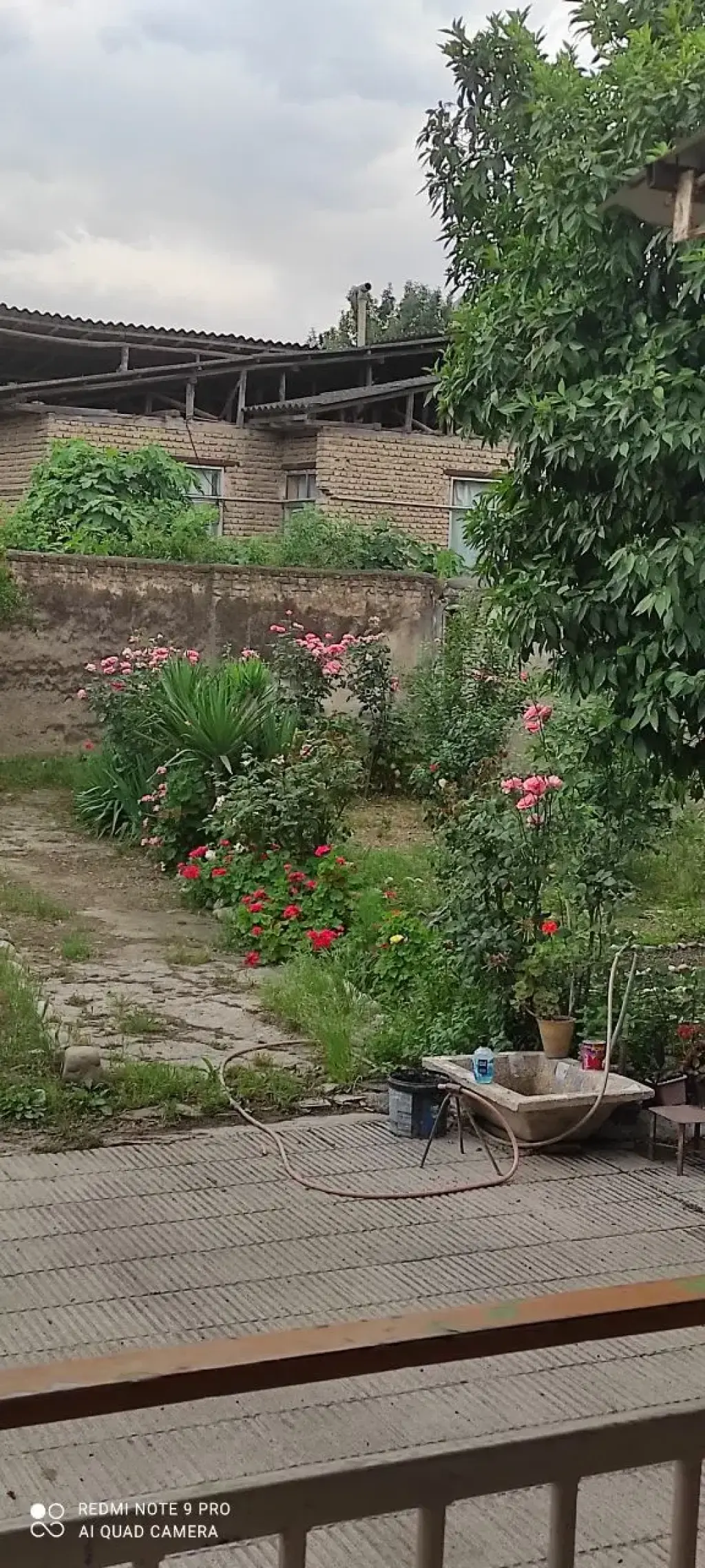 فروش خانه و ویلا 450 متری در سنگلج (شاپور) - تصویر 11