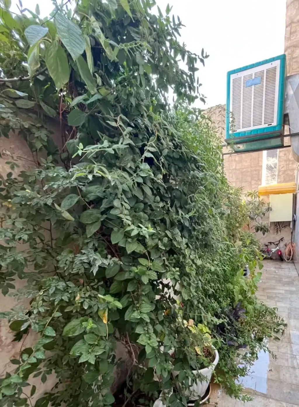 فروش آپارتمان 87 متری در شهران شمالی - تصویر 8