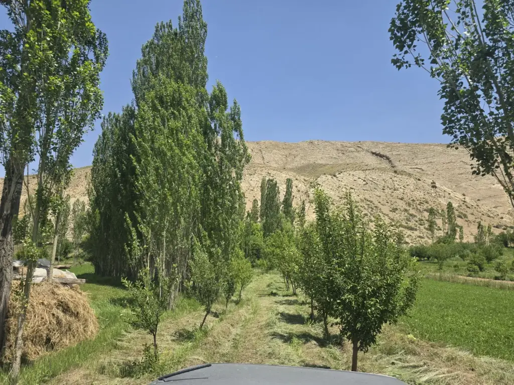 فروش زمین و کلنگی 1450 متری در بیسیم - تصویر 6