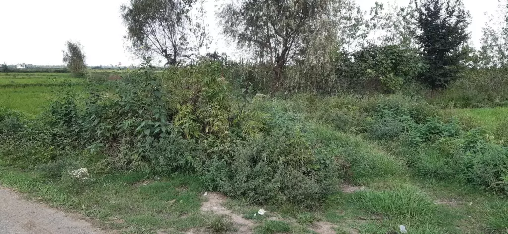 فروش زمین 3440متری تک برگ سند