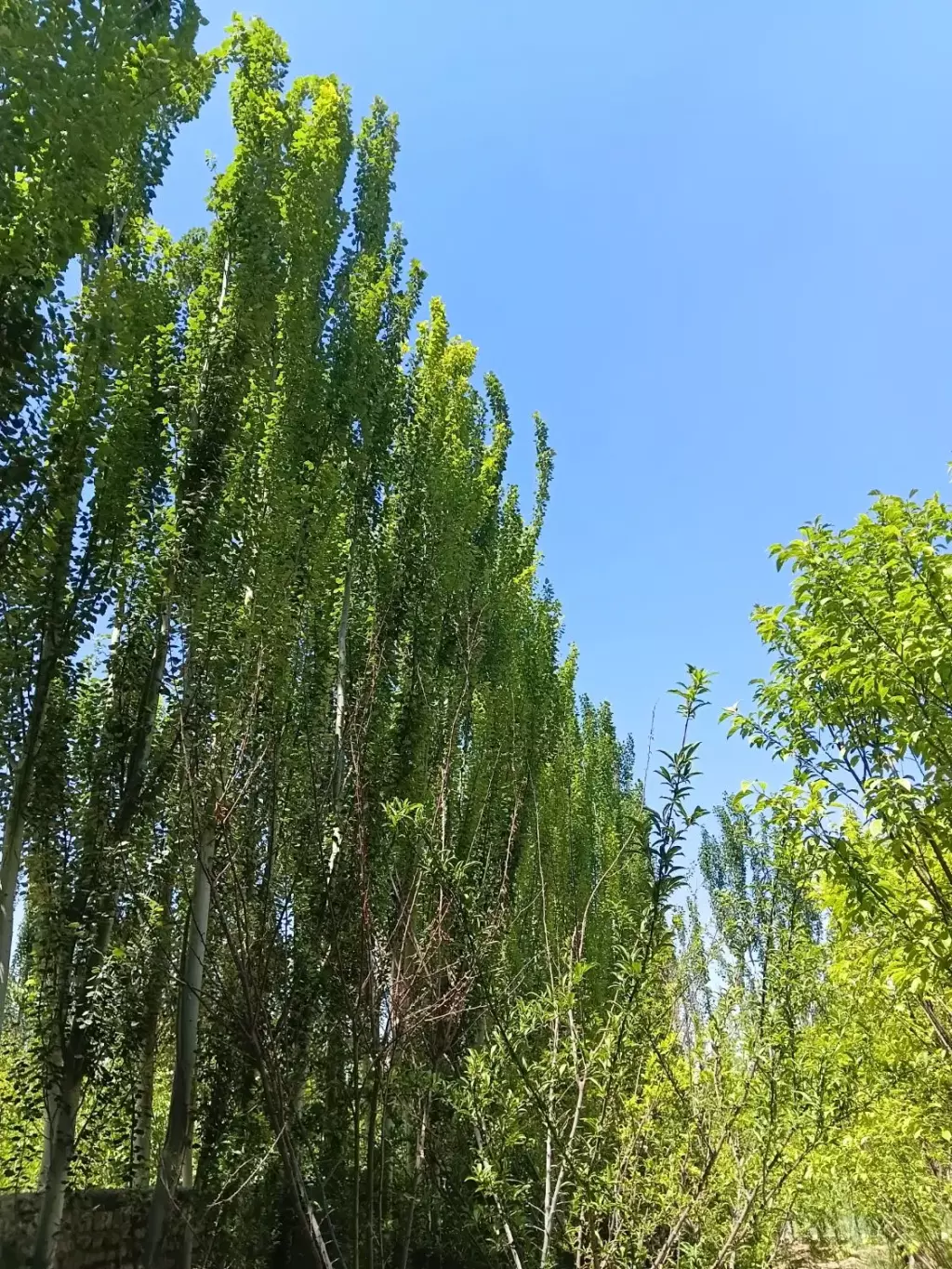 فروش اداری و تجاری 508 متری در والفجر (افسریه)