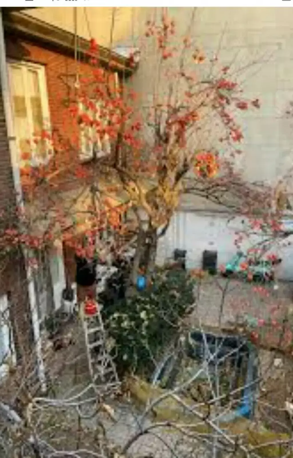 اجاره خانه و ویلا 400 متری در بازار