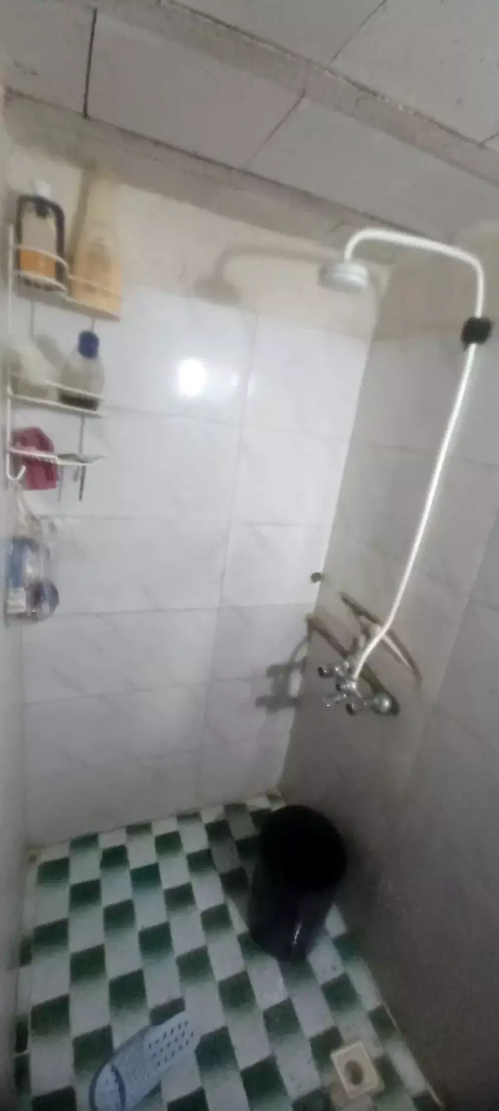 اجاره خانه و ویلا 50 متری در شهرک طالقانی