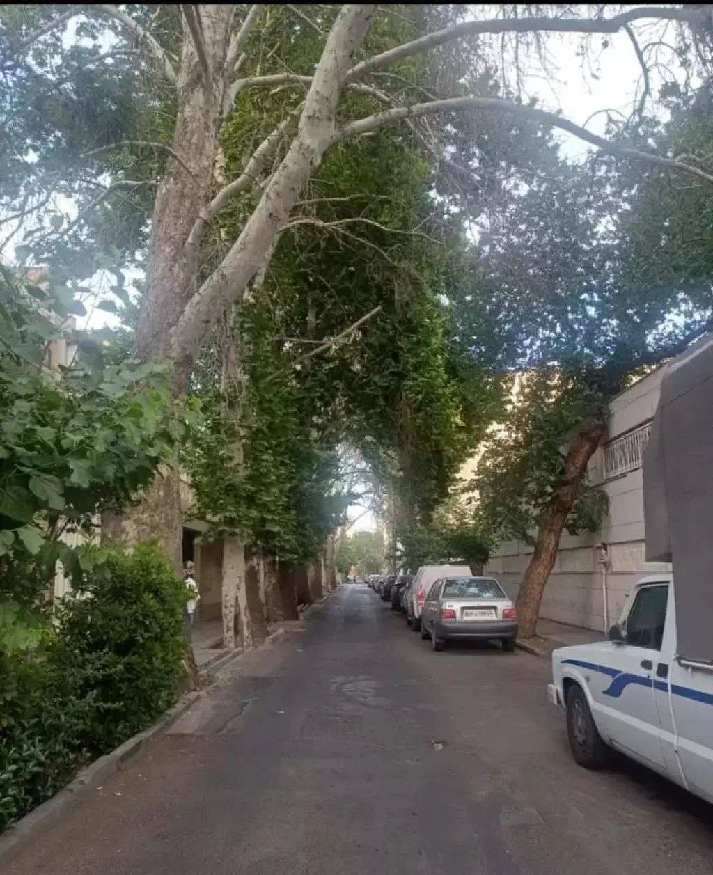 اجاره آپارتمان 106 متری در آذربایجان