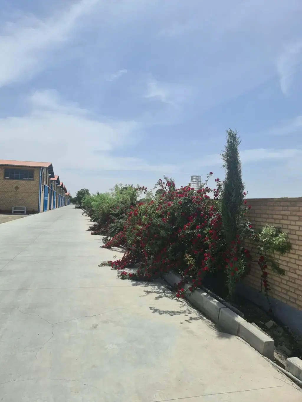 اجاره اداری و تجاری 330 متری در خلیج فارس